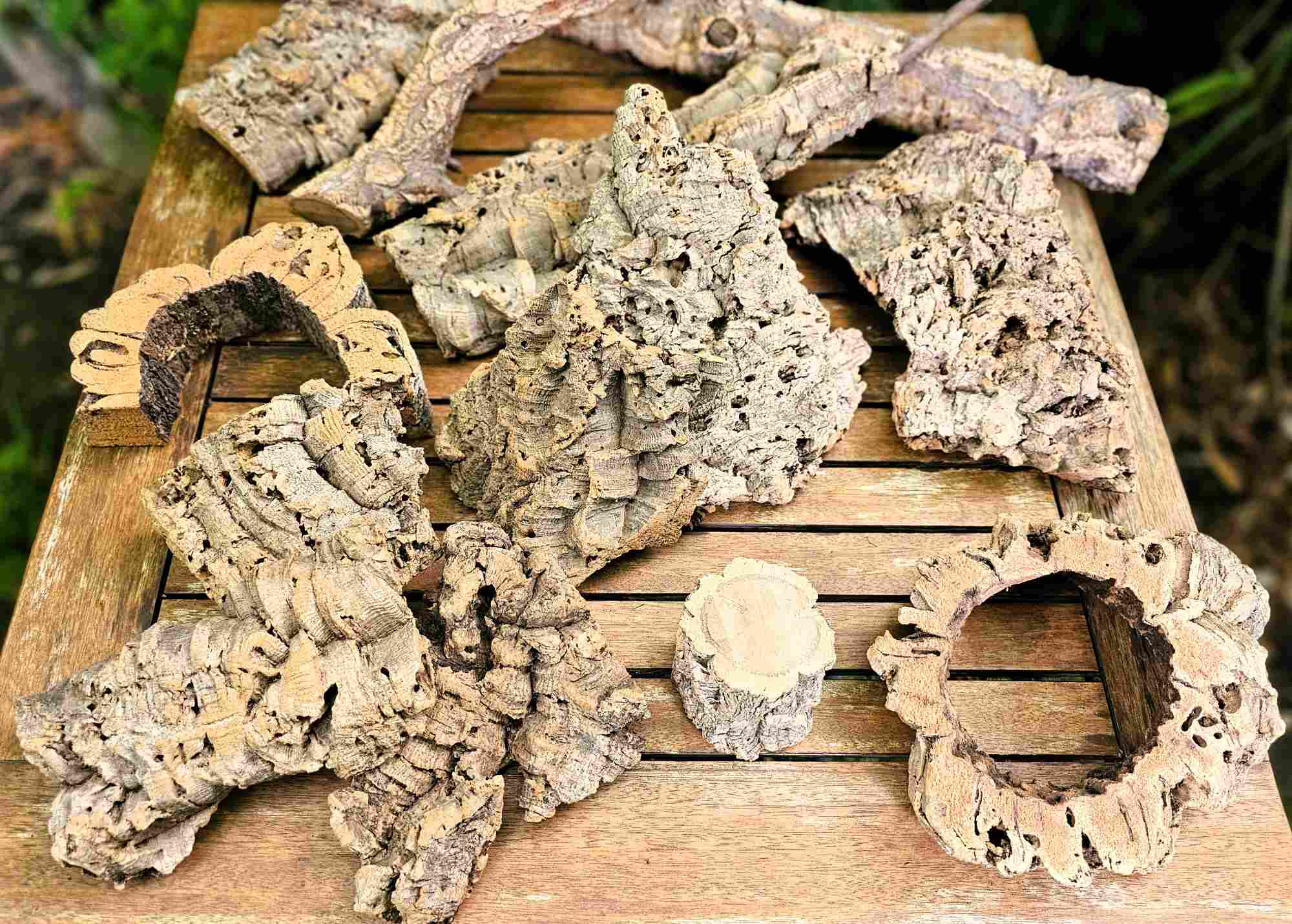 Warum Korkeiche für unsere Tiere?