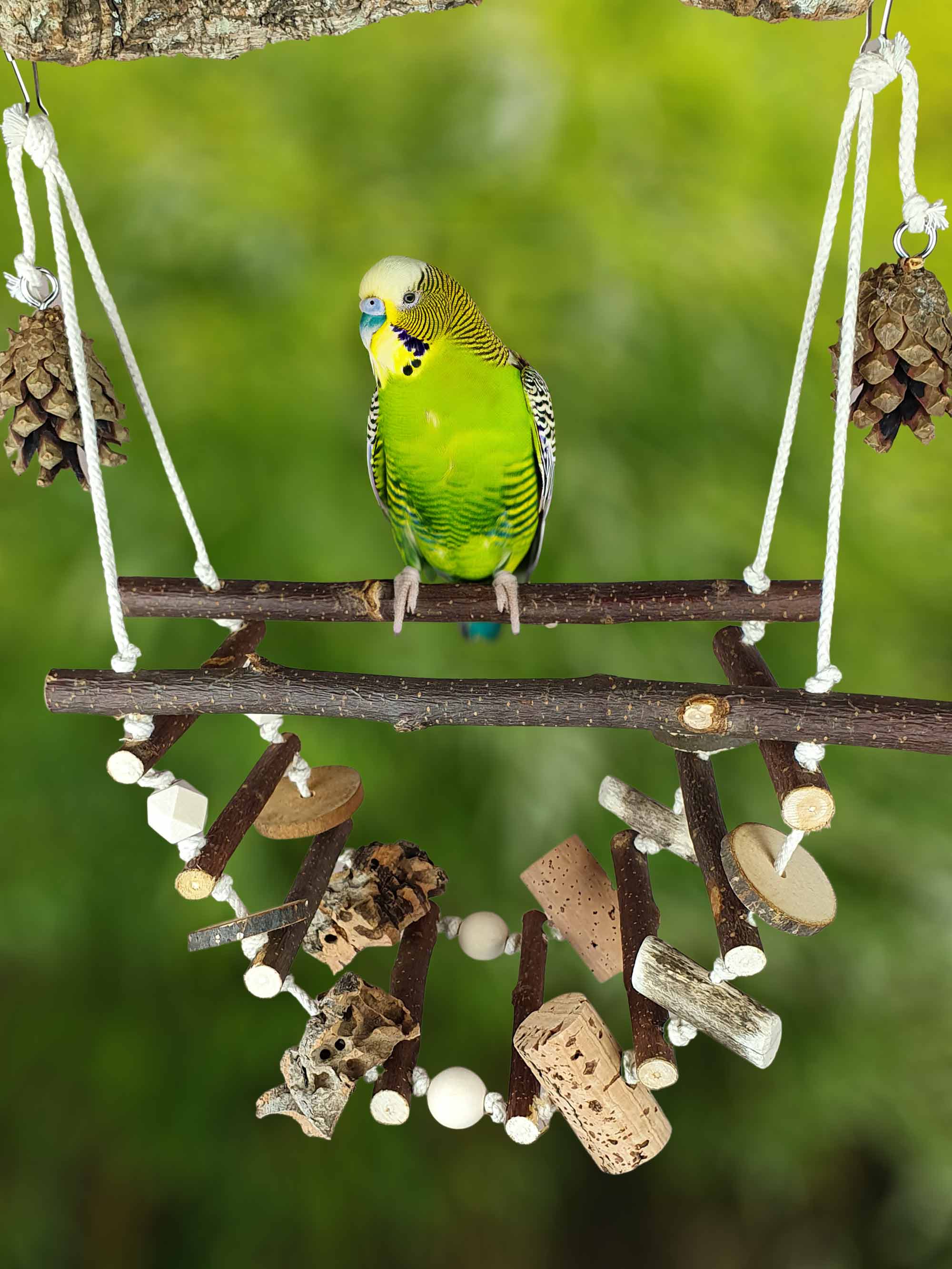 Hänge-Brücke Vogel-Leiter & Natur-Holz Spielzeug zum Knabbern / Käfig-Zubehör Natürlicher Spielplatz für Wellensittich Nager Hamster Maus